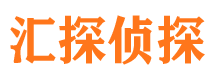 望江侦探公司